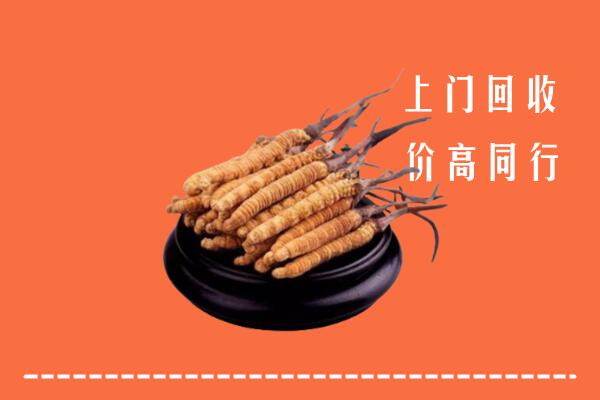 高价求购：峡江县回收散虫草