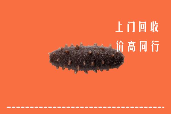 峡江县回收海参