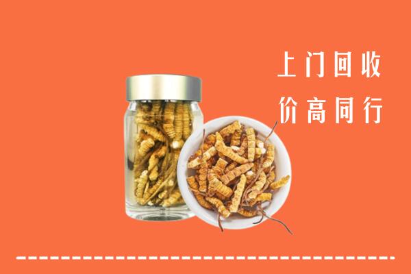 峡江县回收冬虫夏草